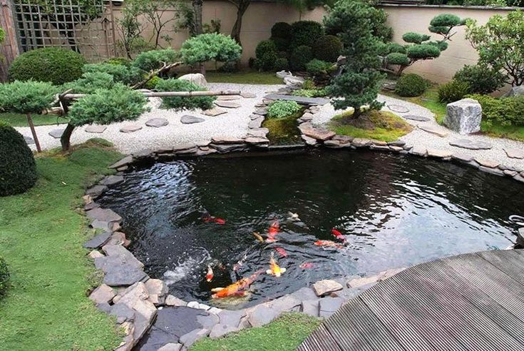 3 Desain Taman Belakang Rumah Modern dan estetik